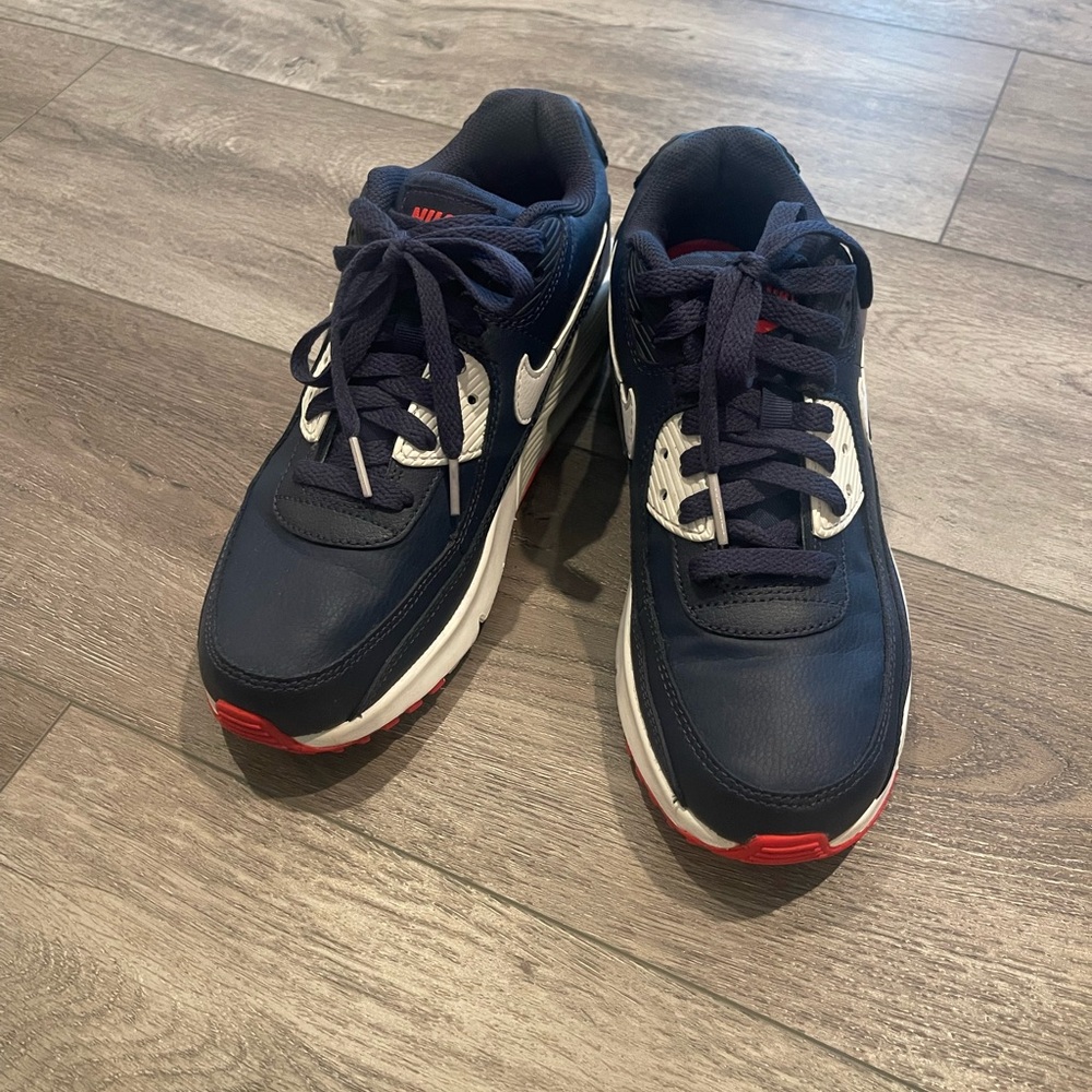 Nike Navy and White Sneakers with Red Accents